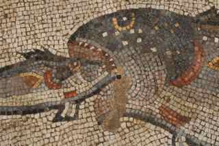 David Silverman/Getty Images. One fish being eaten by anoither is seen in this detail from an intricate ancient Roman mosaic as it is revealed some 13 years after it was first discovered in the ruins of a 4th century AD building, on July 1, 2009 in Lod in central Israel.