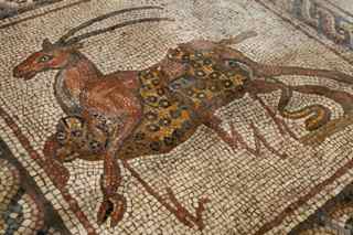David Silverman/Getty Images. A leopard bringing down its prey is seen in this detail from an intricate ancient Roman mosaic as it is revealed some 13 years after it was first discovered in the ruins of a 4th century AD building, on July 1, 2009 in Lod in central Israel.
