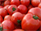 Uncovering its�health secrets