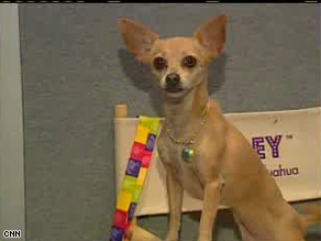 Gidget, the Chihuahua best known for her Taco Bell ad campaign, died from a stroke on Tuesday night at age 15.