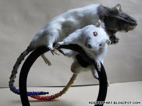 Natty or ratty? One of Peppard's creations.