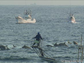 A still from film shows dolpins being driven towards Taiji.