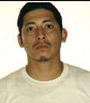 Most Wanted 