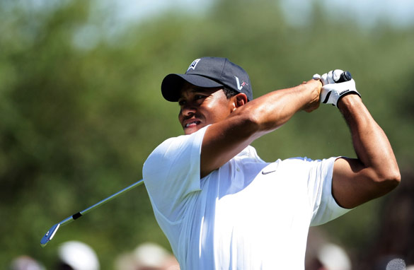 Tiger's appearance in the Australian Masters is rivalling the Melbourne Cup in its sporting significance for the locals.