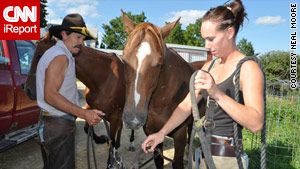 A day in the life of a sustainable farm