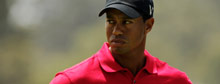 Saving Tiger Woods!
