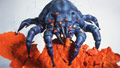 Creepy critters crawl under the covers