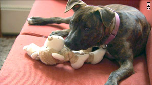 Pet owners going green
