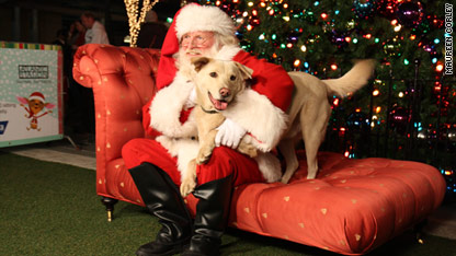 Santa and the dogs to the rescue! 