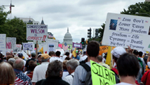 Tea Party candidate a fake?