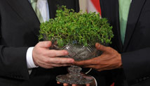 Shamrock ceremony had inauspicious start