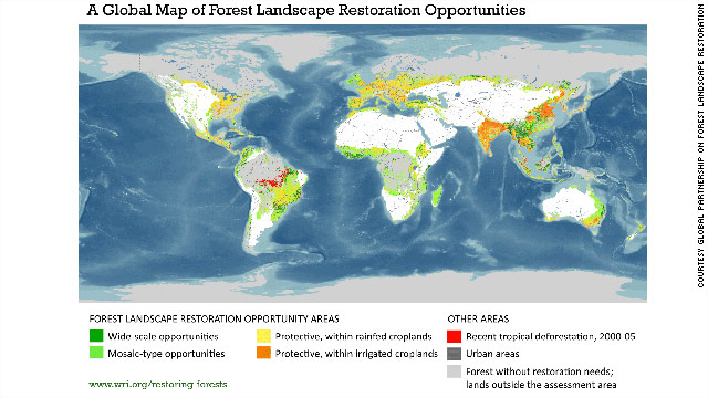 Potential areas for reforestation. Yellow and orange "protective" areas indicate where patches of forest could be used around waterways and fields to protect them.