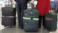 Maggots just latest airline bag shocker