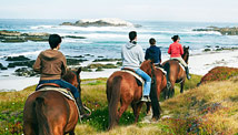 Carmel for every budget