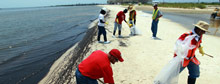 Gulf oil disaster: How you can help