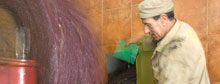 Olive oil liquid gold in Tunisia