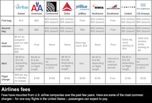 delta checked bag cost