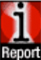 iReport