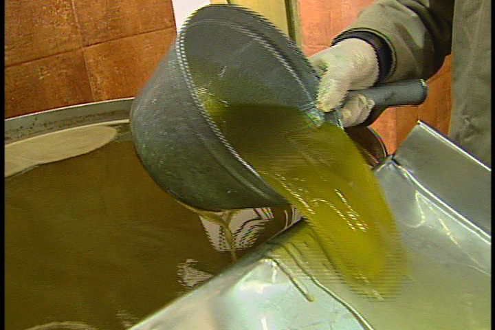 Tunisia's liquid gold: boutique extra virgin olive oil.