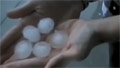 Hail storm shatters glass, shreds trees