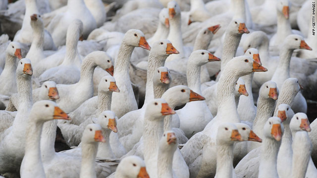Foie gras causes uproar