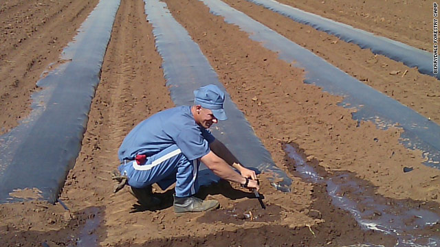 Inmates grow roots as jailhouse farmers