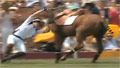 Prince Harry tumbles off his polo pony