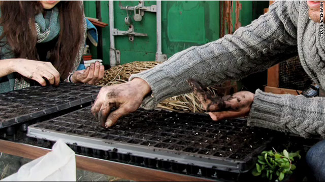 Roof-to-table is the new farm-to-table