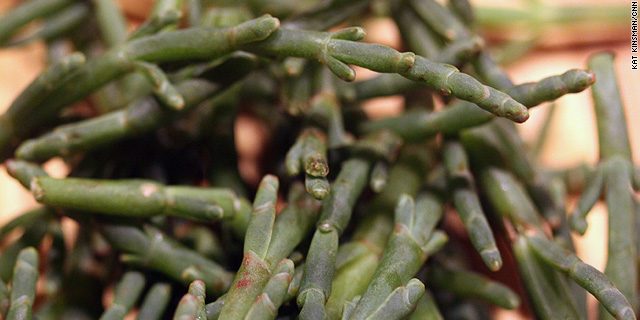 Scorpacciata – sea beans