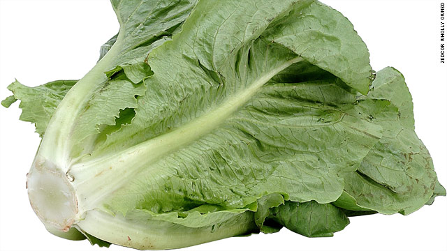 Refrain from this romaine