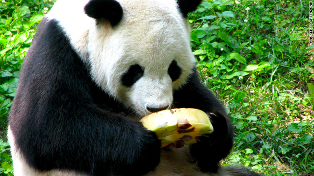 Lunchtime poll – favorite frozen treat