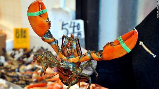 Lobster tales: 5-year ban coming to East Coast?