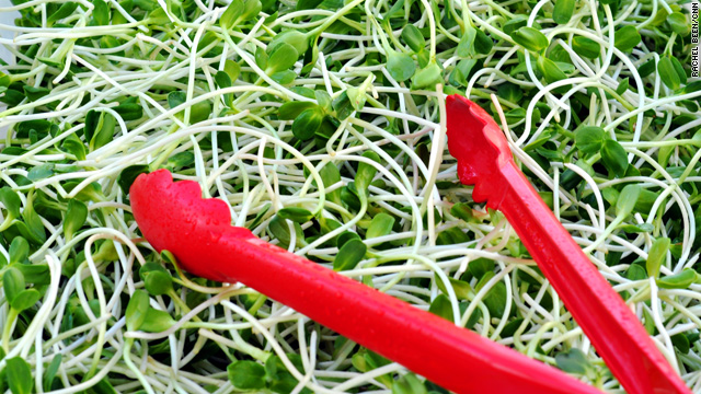 Clarified: Vegans, pescetarians, raw foodists and other dietary tribes