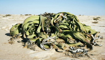 World's oldest living organisms