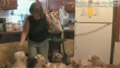 Hoarder had 97 dogs, 20 cats, 5 goats