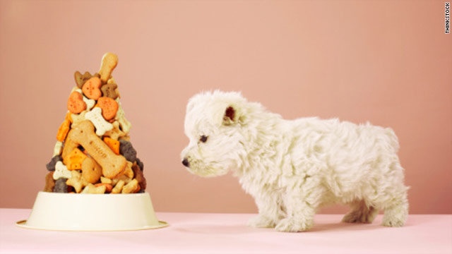 Tainted pet food can sicken owners and kids