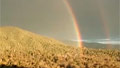 Microsoft hires 'double rainbow' guy