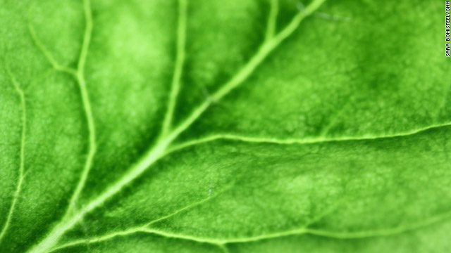 Bumper veggie crop could yield $5,000 in fines