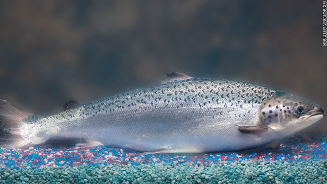 Some say "Frankenfish," others call it a solution
