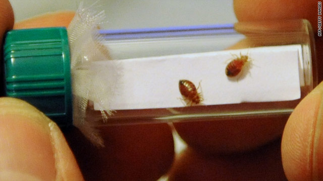 Bedbugs attack U.N. and other health headlines