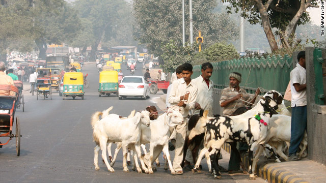 Images of India: Goats, goats everywhere