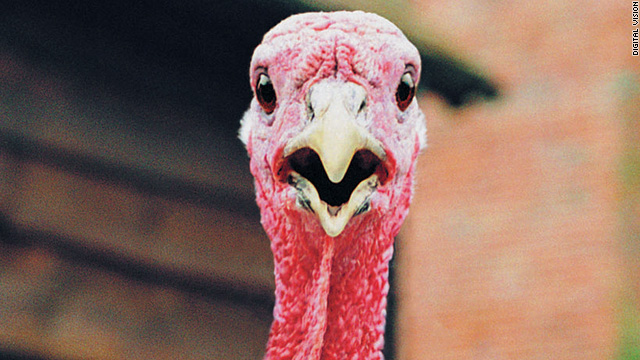 Thanksgiving recipes, advice, solidarity and sanity