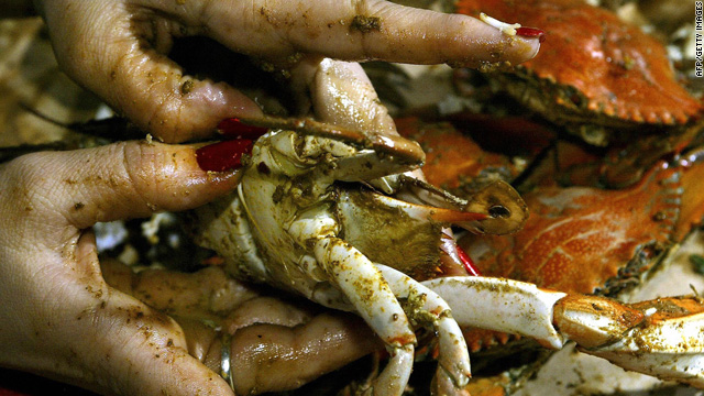 Famous Baltimore crab house to shut its doors