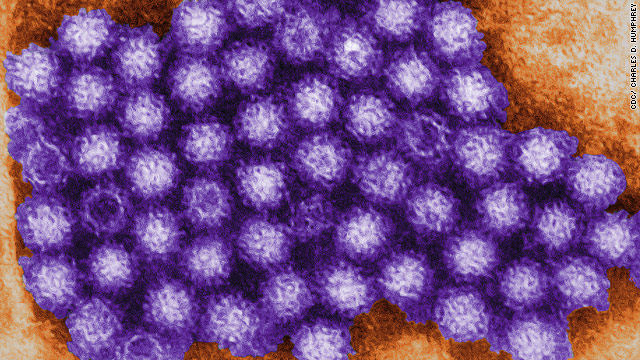 Casi 500 personas de dos cruceros se contagiaron de Norovirus