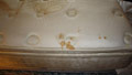 TripAdvisor names dirtiest hotels
