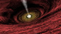 Black holes abound in early universe