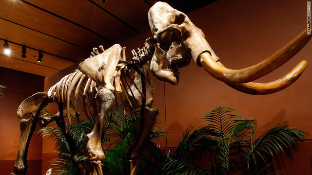 Scientists trying to clone, resurrect extinct mammoth