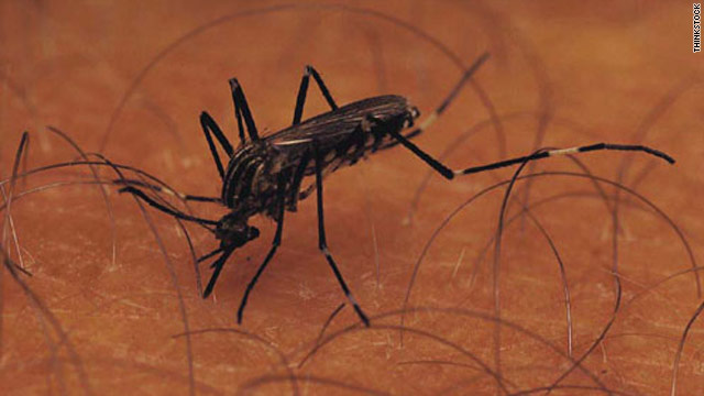 Malaria not spread by casual contact