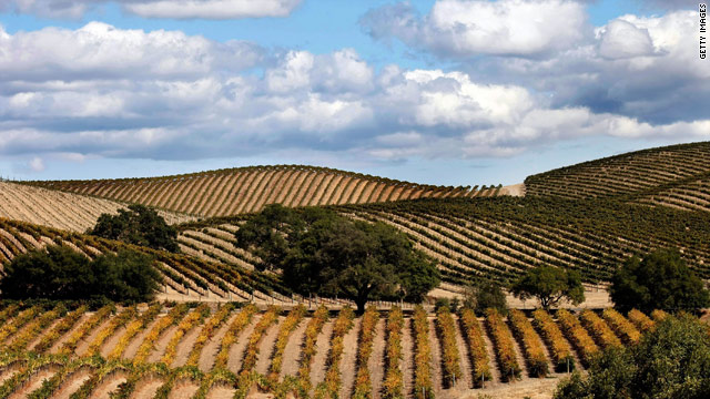 Wine, wine, everywhere with not a bite to eat