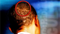 Some see conspiracy in Obama's hair